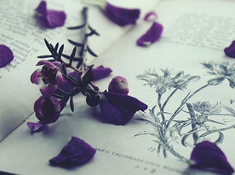 masonary-5-1 masonry-image-5