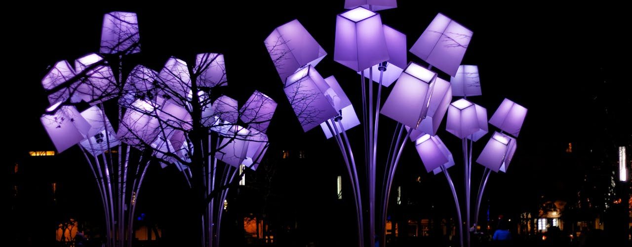 Purple Lights